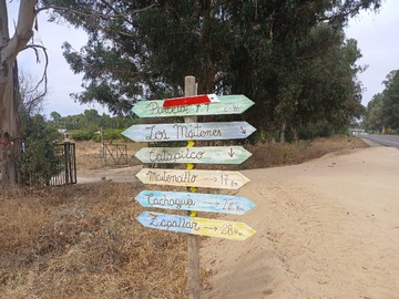 Venta / Casa / Zapallar