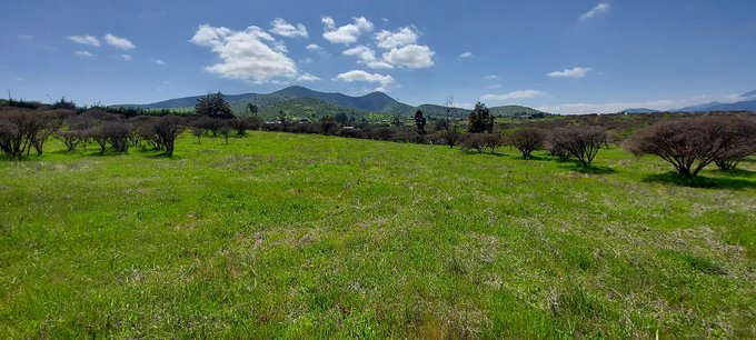 Vista nororiente con sol.