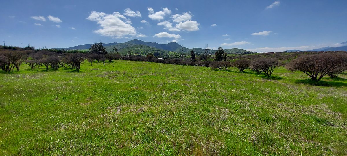 Vista nororiente con sol.