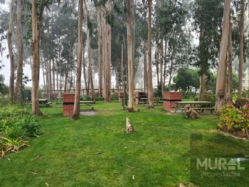 Imagen 15
