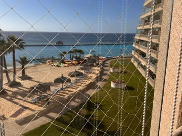 Imagen 12