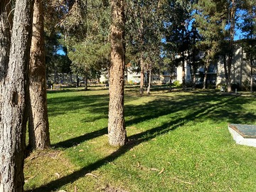 Venta / Departamento / Algarrobo
