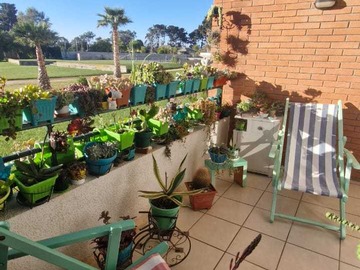 Venta / Departamento / Algarrobo