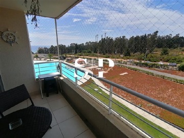 Imagen 11
