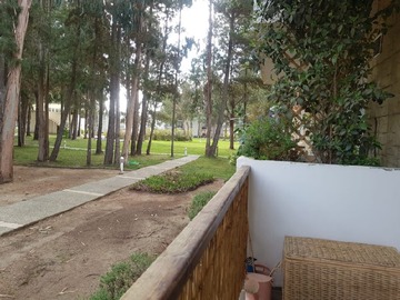 Imagen 14