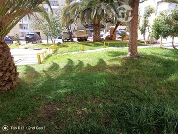 Imagen 8