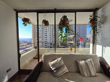 Imagen 3