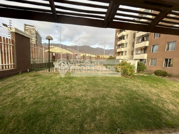Imagen 2