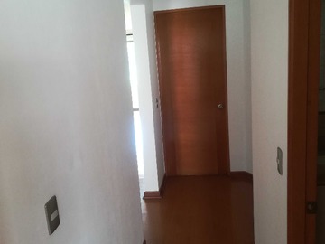 Imagen 19