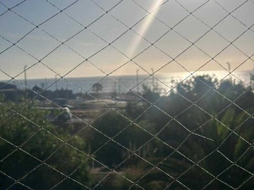 Imagen 0
