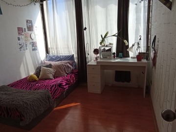 Imagen 24