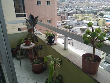 Imagen 8