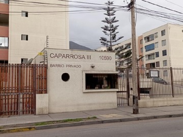 Imagen 11