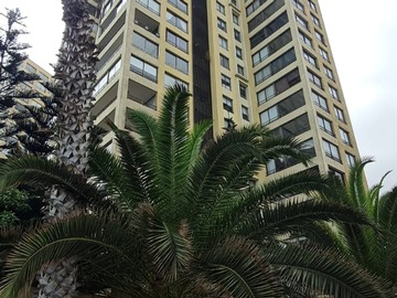 Imagen 6