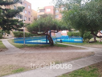 Imagen 11