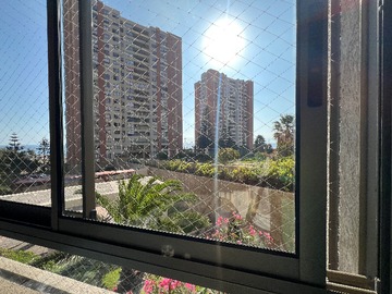 Imagen 19