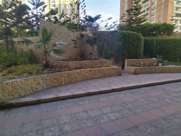Imagen 14