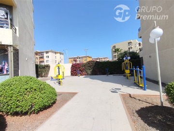 Imagen 16