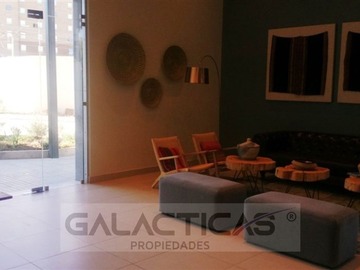 Imagen 19