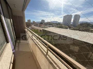 Imagen 8