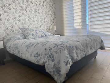 Imagen 8