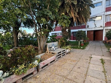 Imagen 17