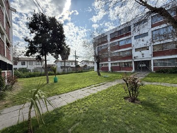 Imagen 13