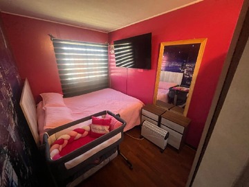 Imagen 5