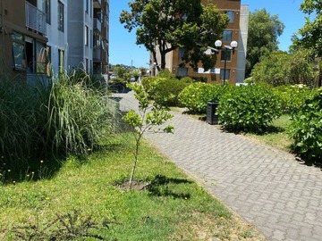 Venta / Departamento / Chiguayante