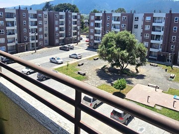 Imagen 11