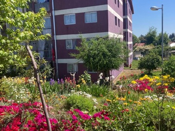 Venta / Departamento / Chillán Viejo