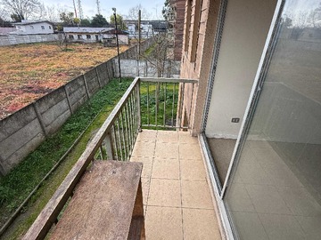 Imagen 5