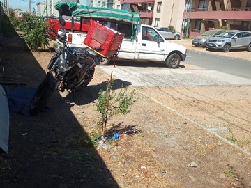 Imagen 5