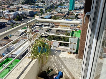 Imagen 16