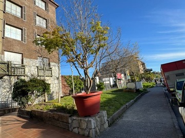 Venta / Departamento / Concepción