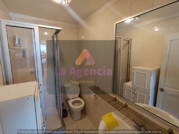 Imagen 19
