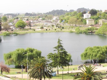Imagen 10