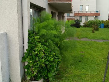 Imagen 14