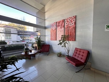 Imagen 10