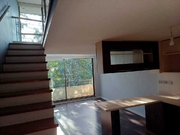 Imagen 7