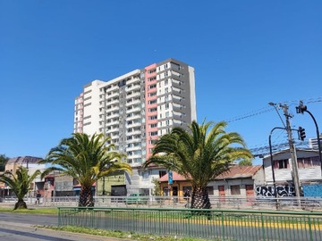 Imagen 5