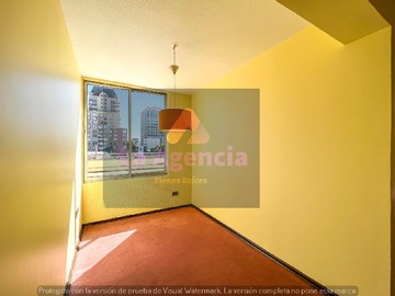 Imagen 13