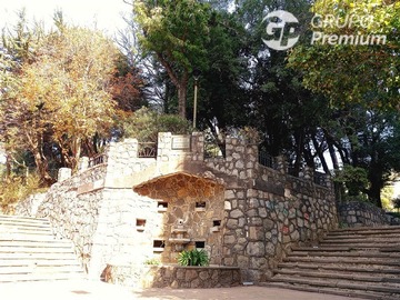 Imagen 22
