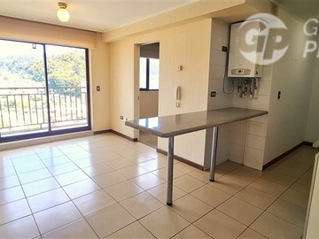 Venta / Departamento / Concepción