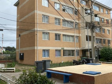 Imagen 15