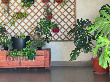 Venta / Departamento / Concepción