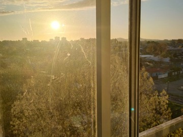 Venta / Departamento / Concepción