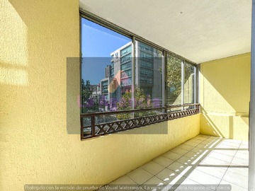 Imagen 5