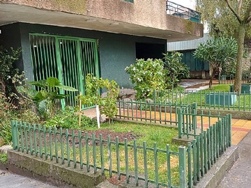 Imagen 15