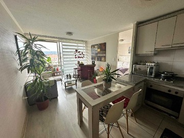 Venta / Departamento / Concepción